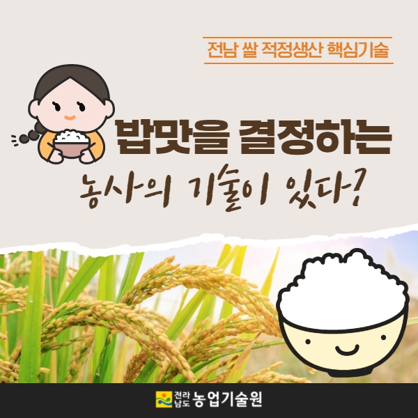 전남쌀적정샌산핵심기술