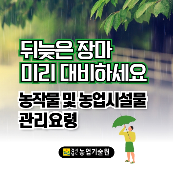 뒤늦은 장마 미리 대비하세요! 농작물 및 농업시설물 관리요령 