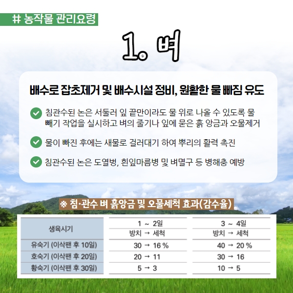 뒤늦은 장마 미리 대비하세요! 농작물 및 농업시설물 관리요령 