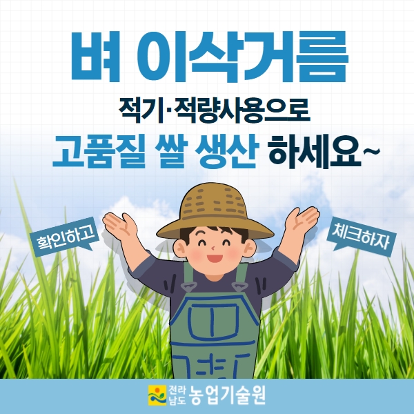  예상 출수기 및 이삭거름 시비 요령 