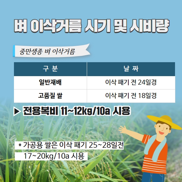  예상 출수기 및 이삭거름 시비 요령 