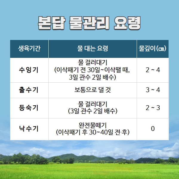  예상 출수기 및 이삭거름 시비 요령 