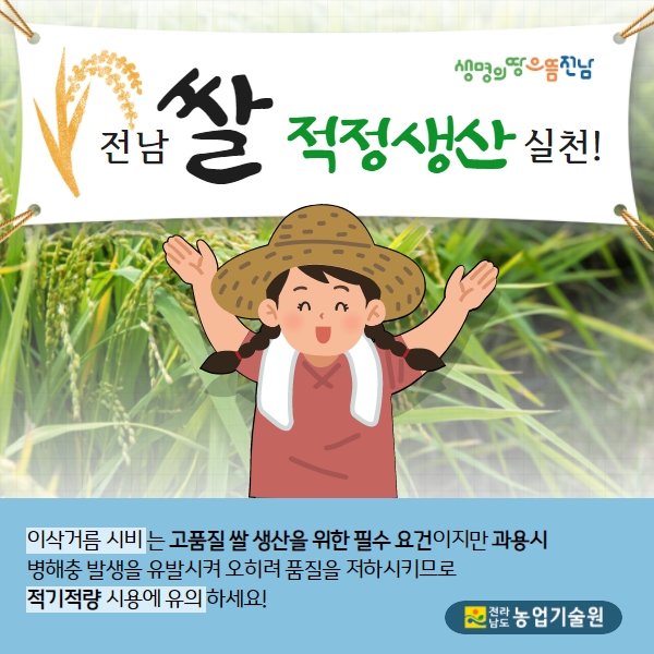  예상 출수기 및 이삭거름 시비 요령 