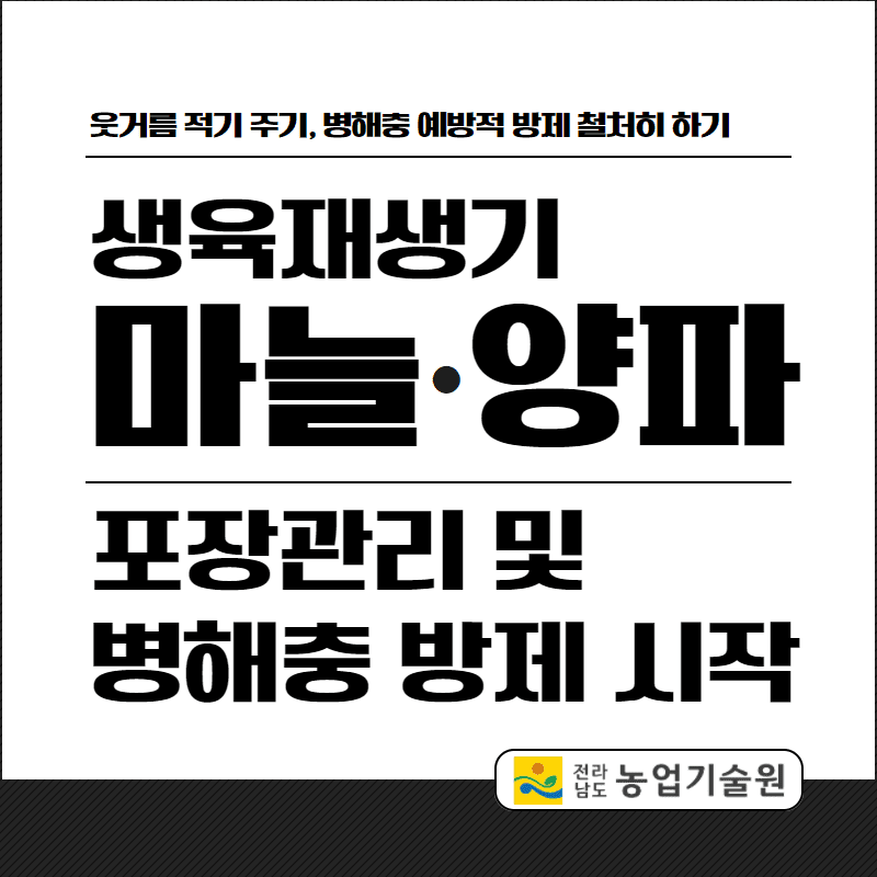 마늘,양파 포장관리 및 병해충 방제 시작 1.png