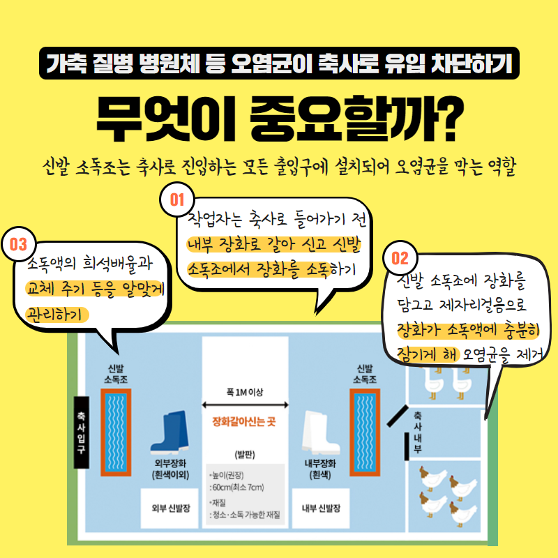 신발 소독조소독 효과높이기 2.png