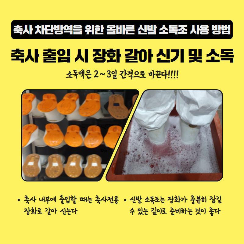 신발 소독조소독 효과높이기 3.png