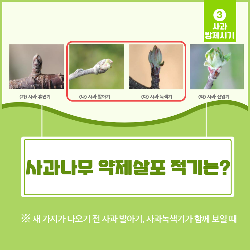 개화 전 약제방제 4.png