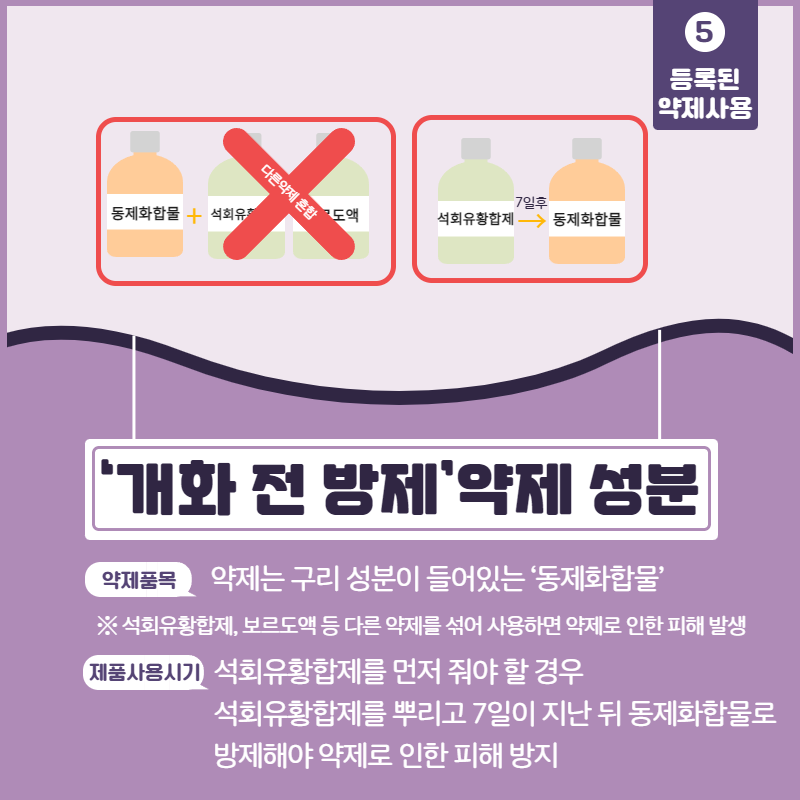 개화 전 약제방제 6.png