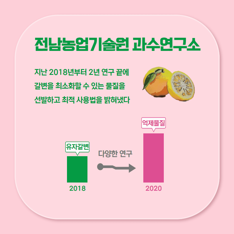 유자갈변방지 3.png