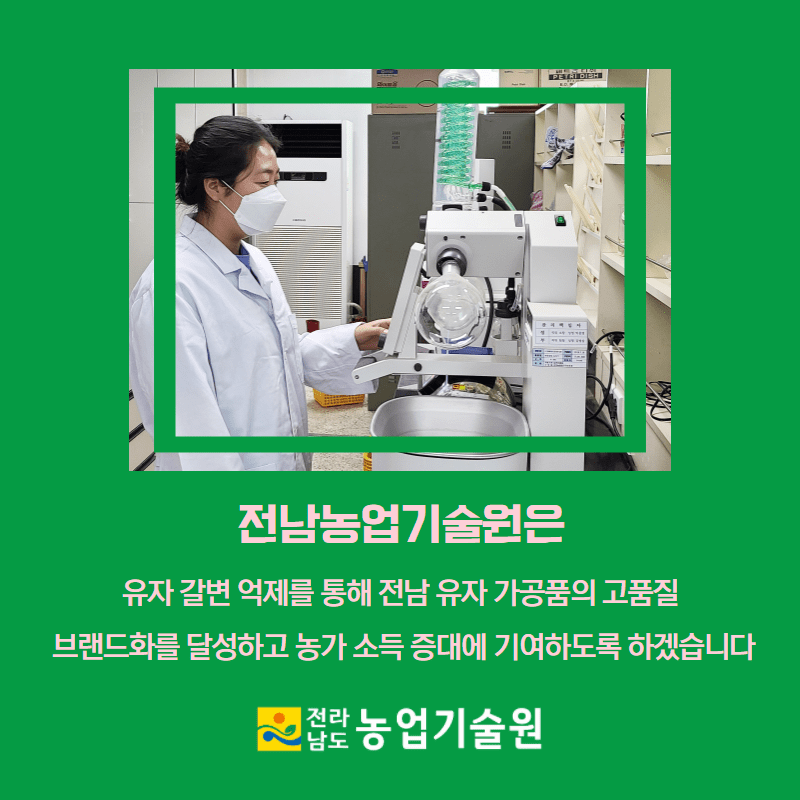 유자갈변방지 5.png