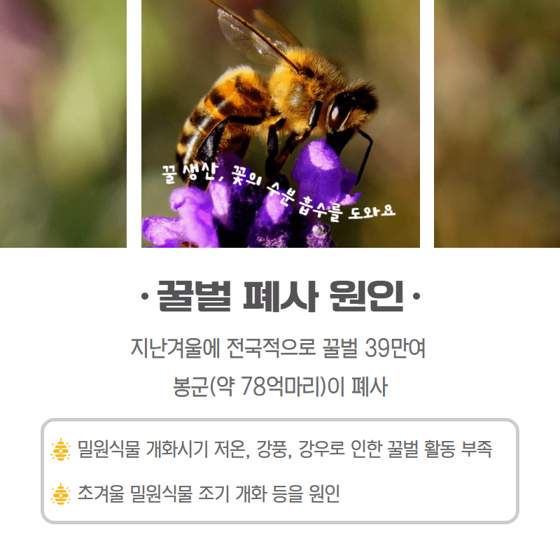 양봉 사양관리 ‘인공지능 시대’ 3.png