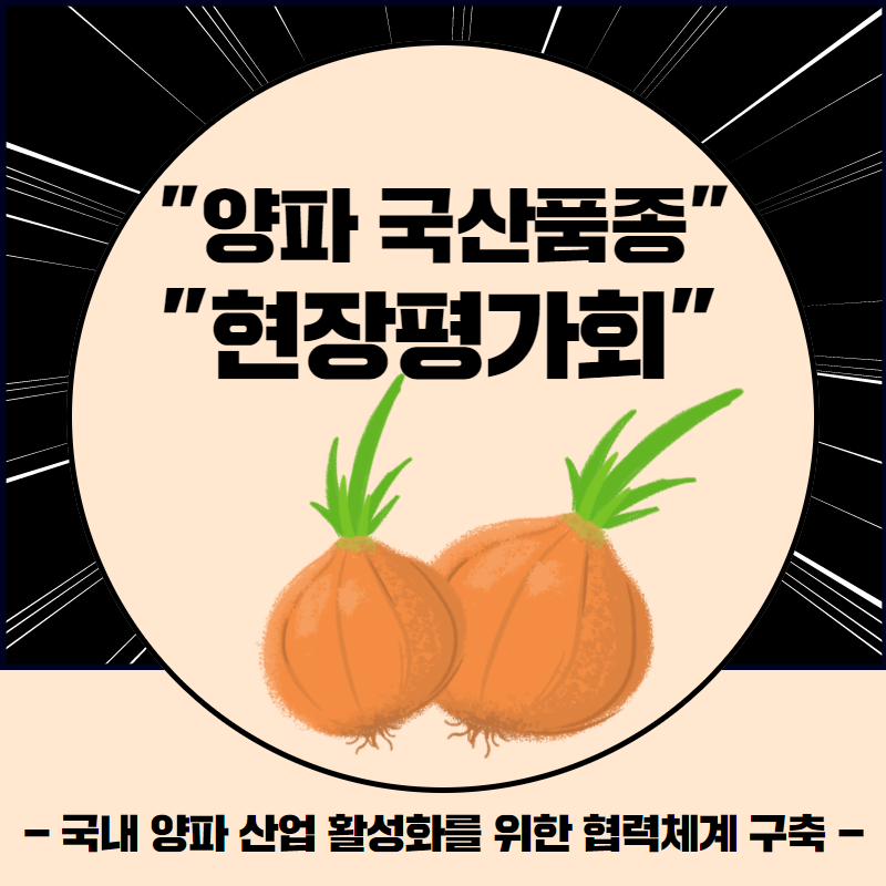 ‘양파 국산품종 현장평가회’ 1.png