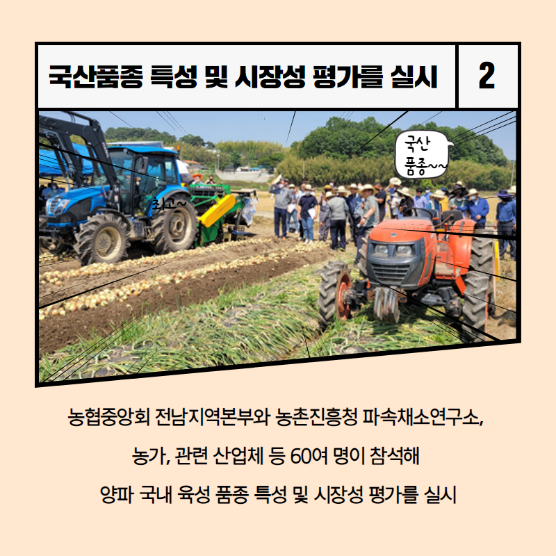 ‘양파 국산품종 현장평가회’ 3.png