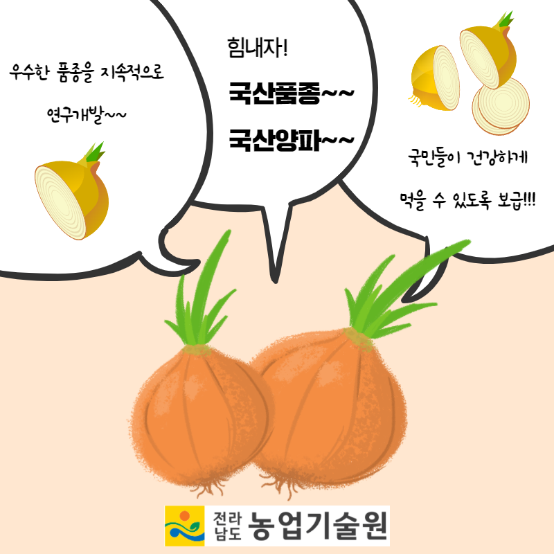 ‘양파 국산품종 현장평가회’ 6.png