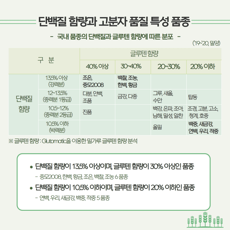 국내 밀 육성 품종의 단백질과 글루텐 함량 품질 특성 정보  3.png