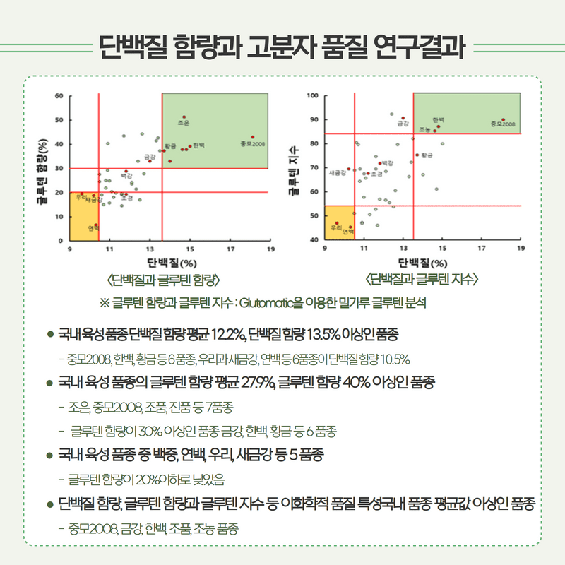 국내 밀 육성 품종의 단백질과 글루텐 함량 품질 특성 정보  4.png