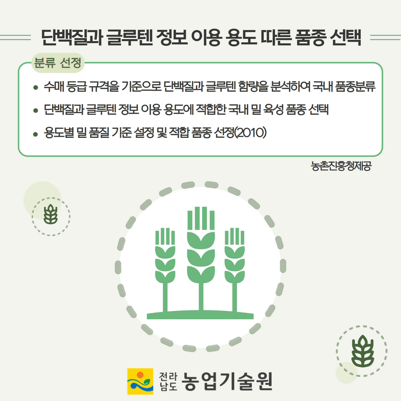 국내 밀 육성 품종의 단백질과 글루텐 함량 품질 특성 정보  5.png