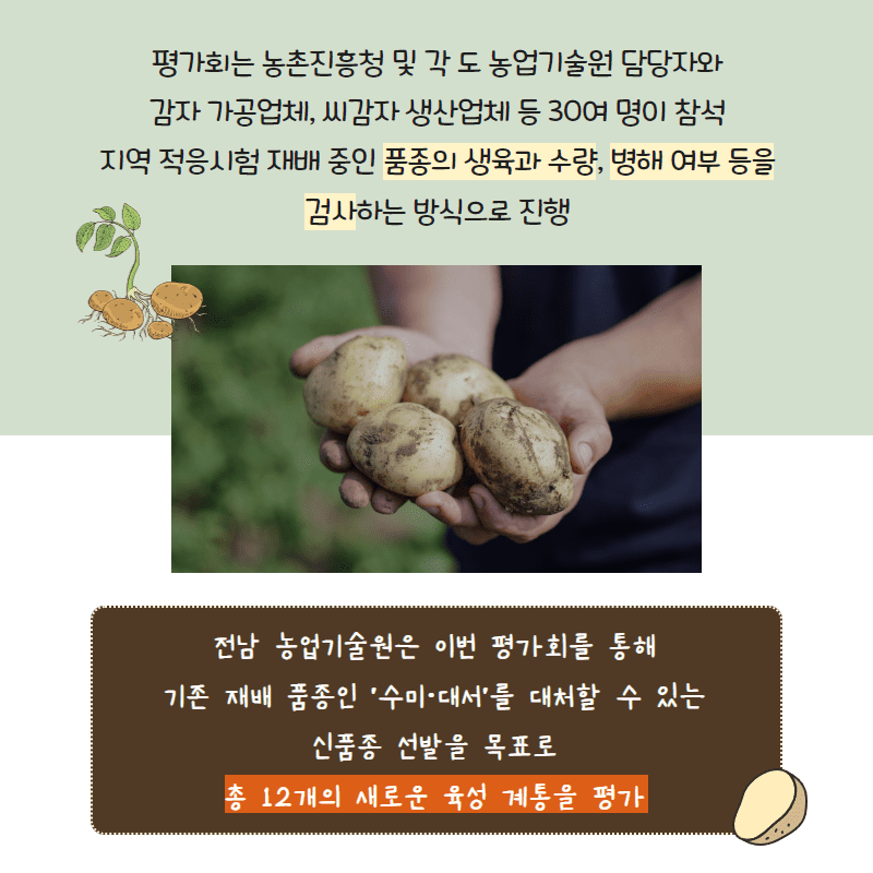 78. 감자 신품종 지역 적응시험 평가회 성료 2.png