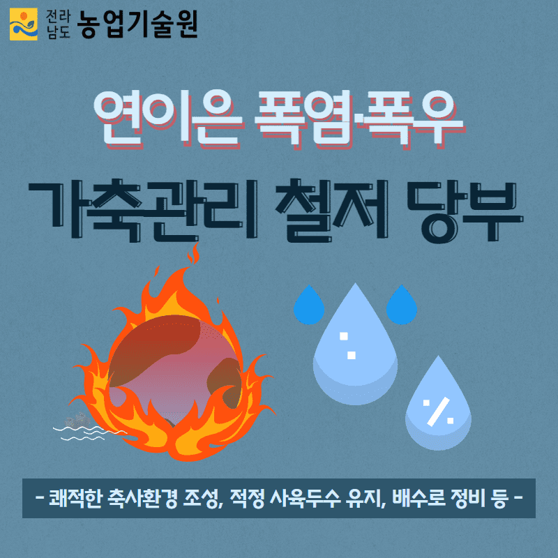 94. 연이은 폭염·폭우...가축관리 철저 당부 1.png