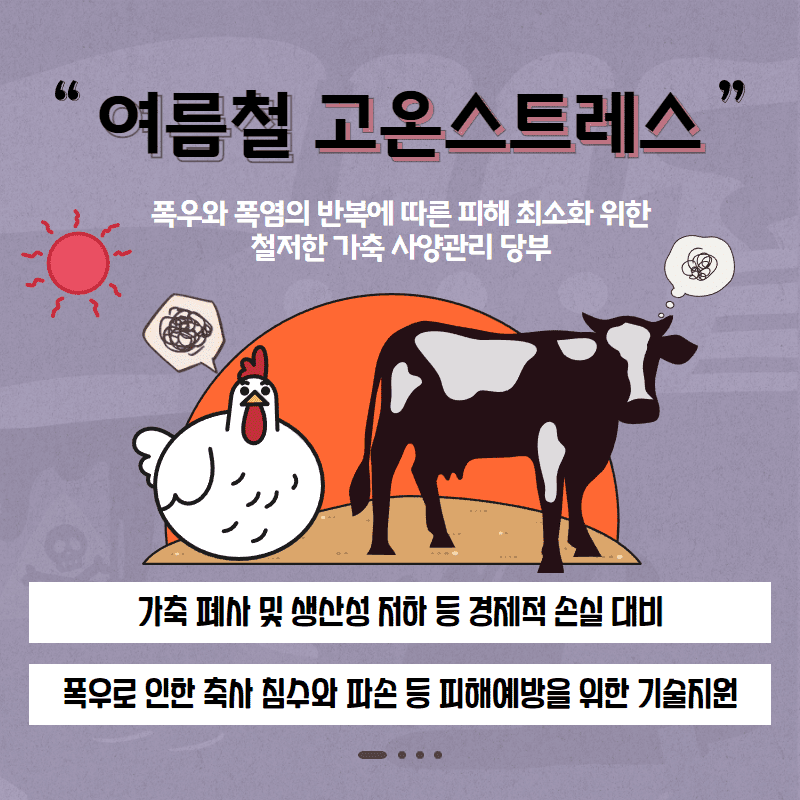 94. 연이은 폭염·폭우...가축관리 철저 당부 2.png