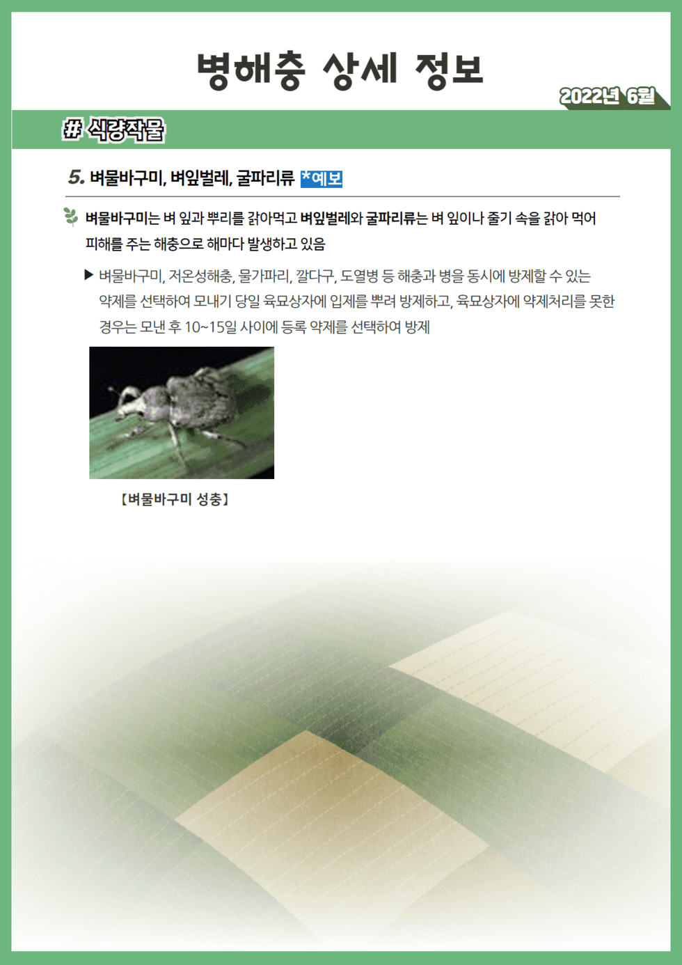 6월 농작물 병해충 발생정보 4.png