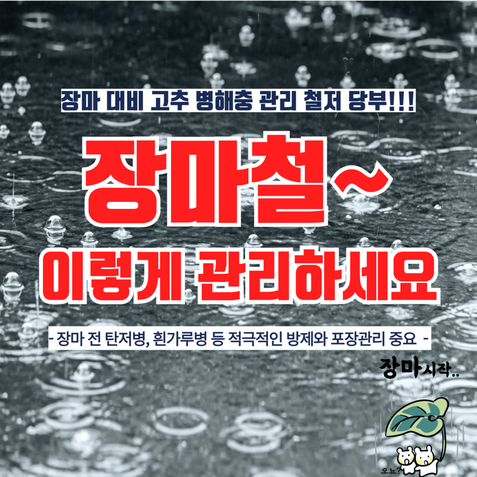 장마철~ 이렇게 관리하세요 1.png