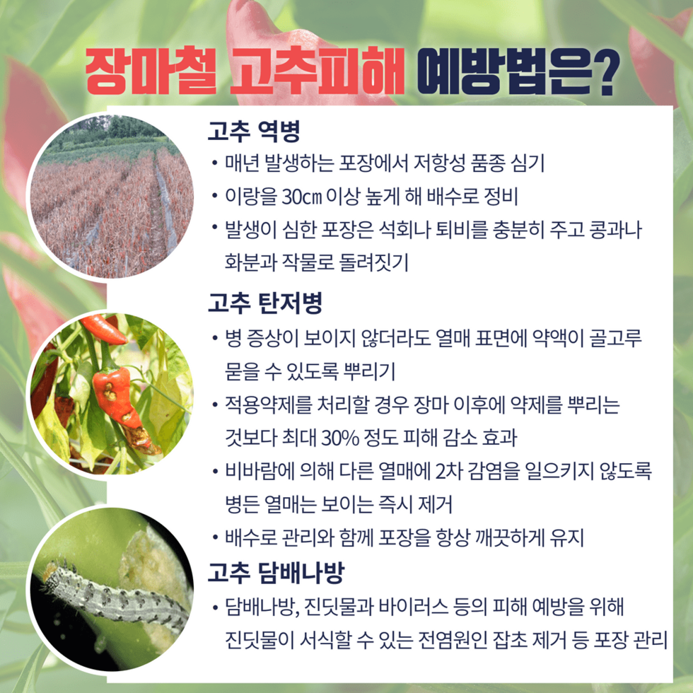 장마철~ 이렇게 관리하세요 4.png