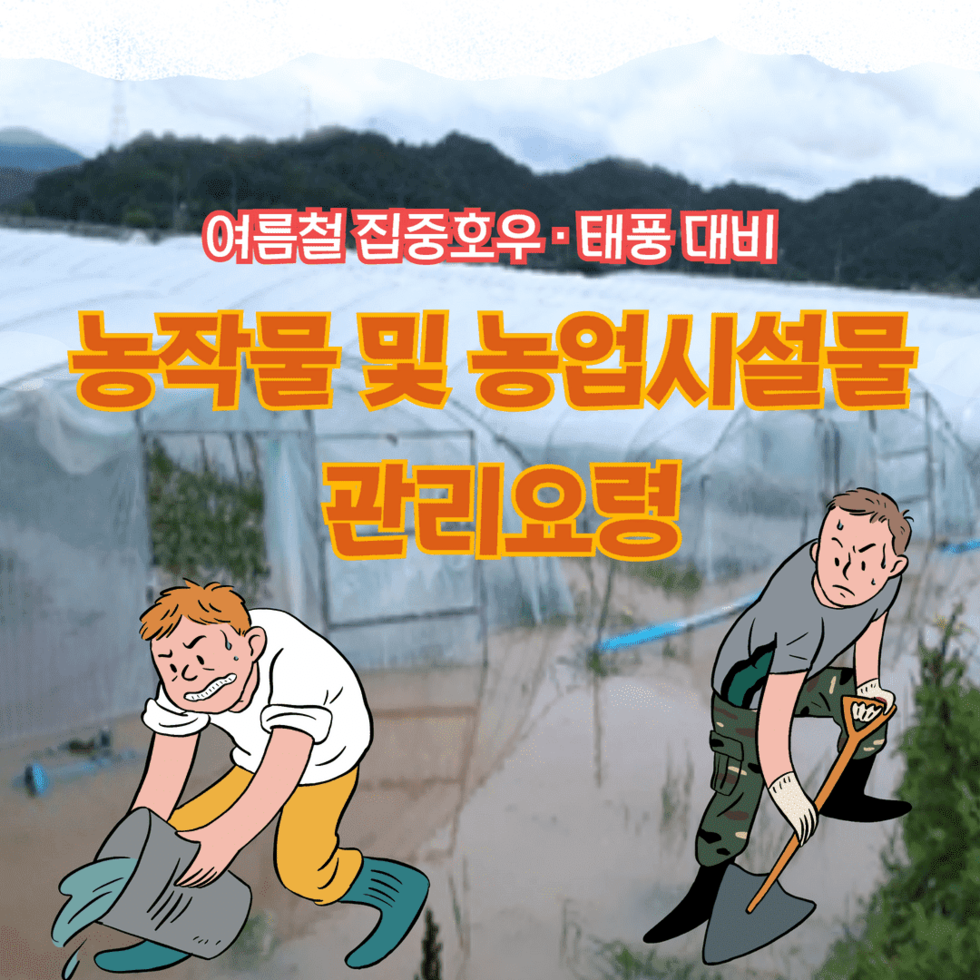 여름철 집중호우·태풍 대비 농작물 및 농업 시설물 안전관리요령 1.png