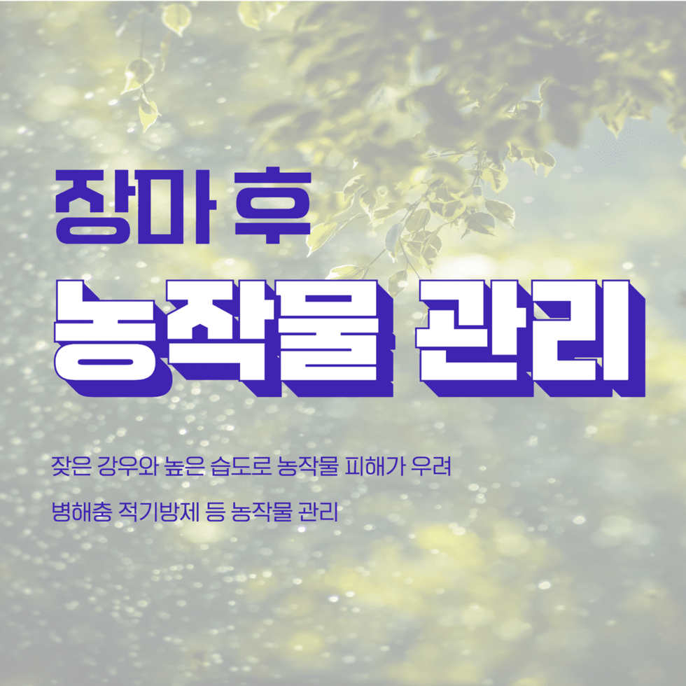 장마 후 농작물 관리 1.png