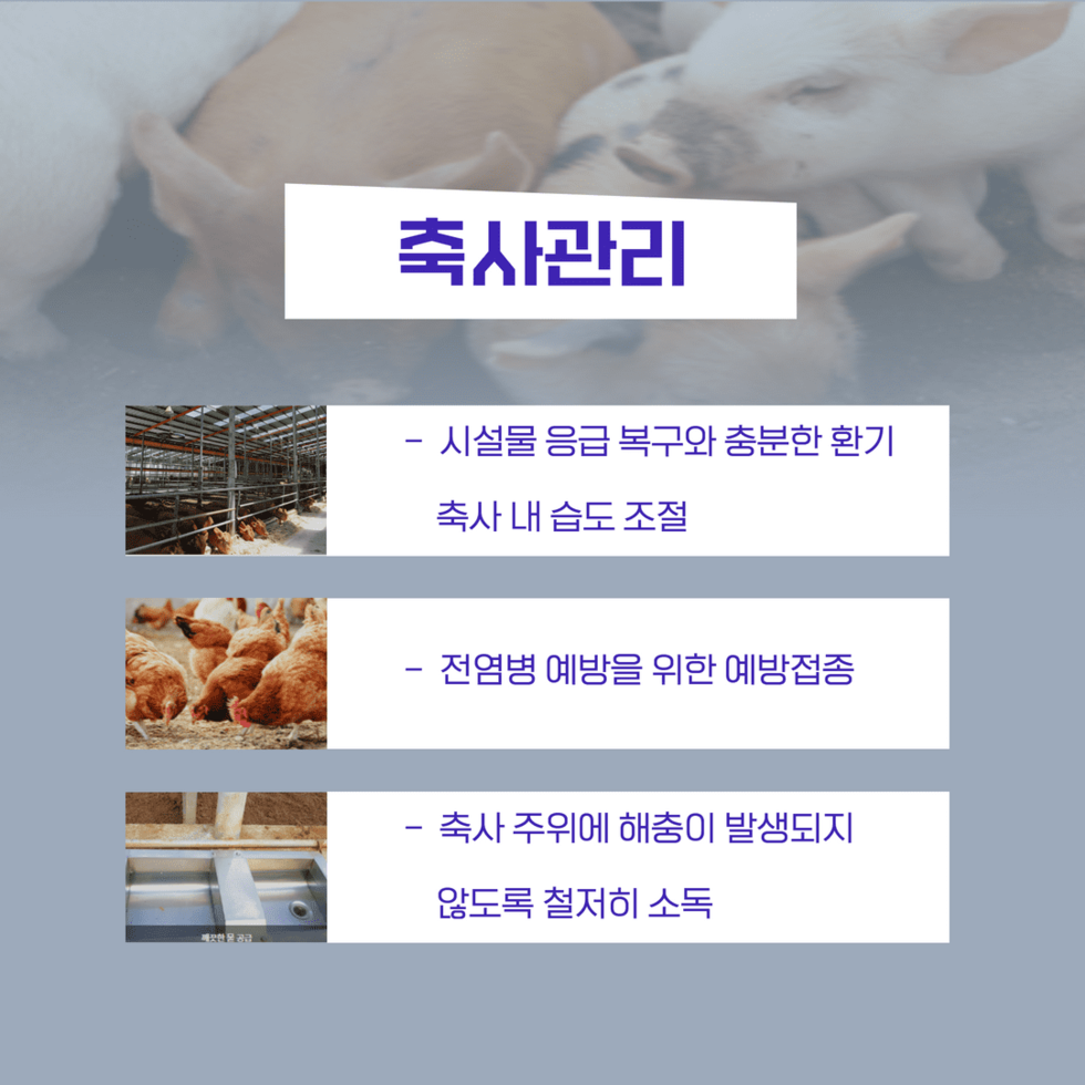 장마 후 농작물 관리 5.png