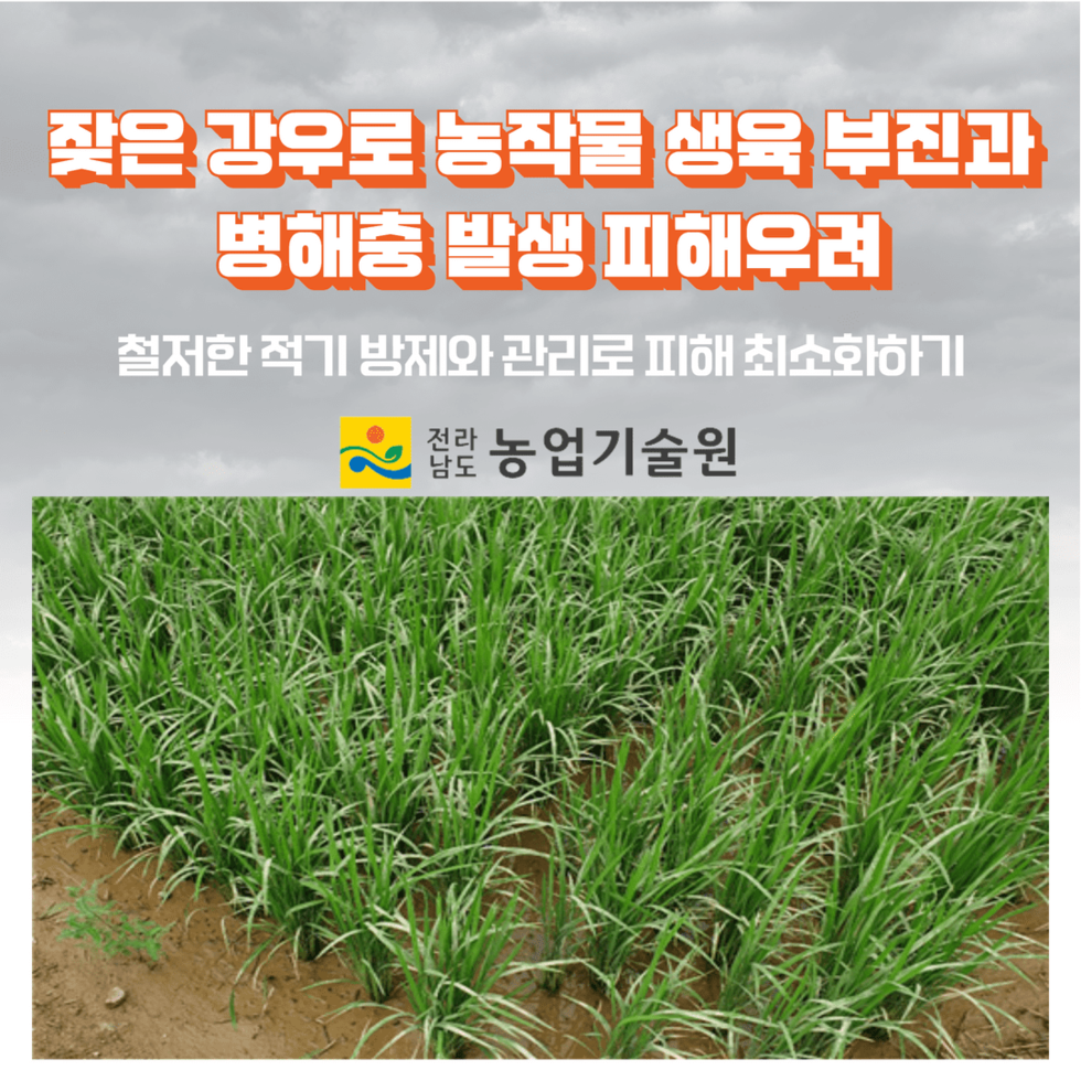 장마 후 농작물 관리 6.png