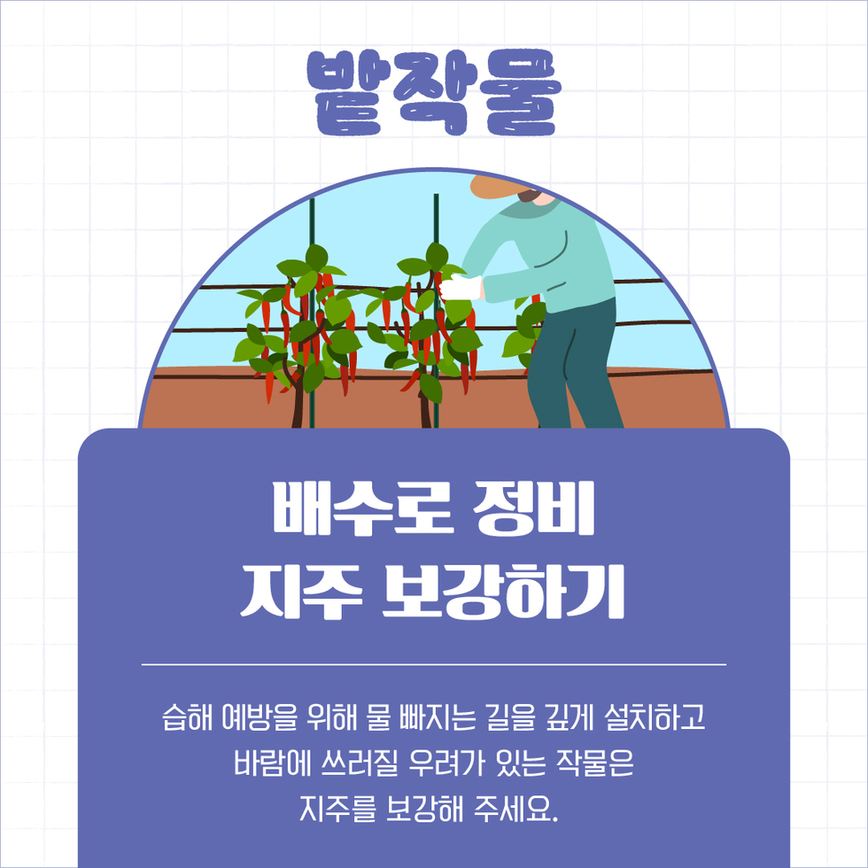 태풍 대비 농업인 실천사항 4.jpg