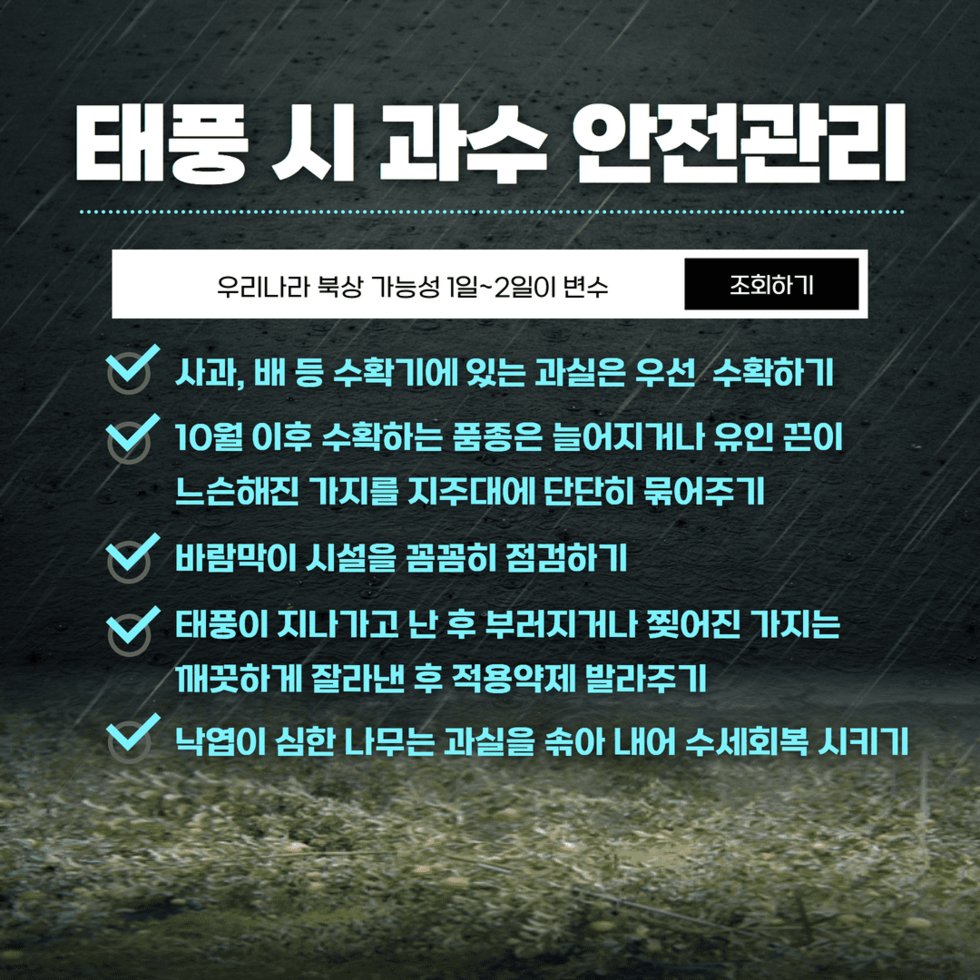 제11호 태풍 힌남노 3.png