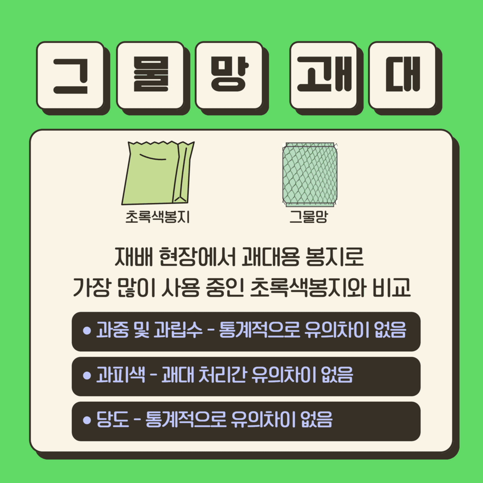 샤인머스켓 봉지 싸개  3.png