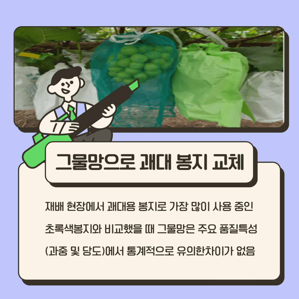 샤인머스켓 봉지 싸개  5.png