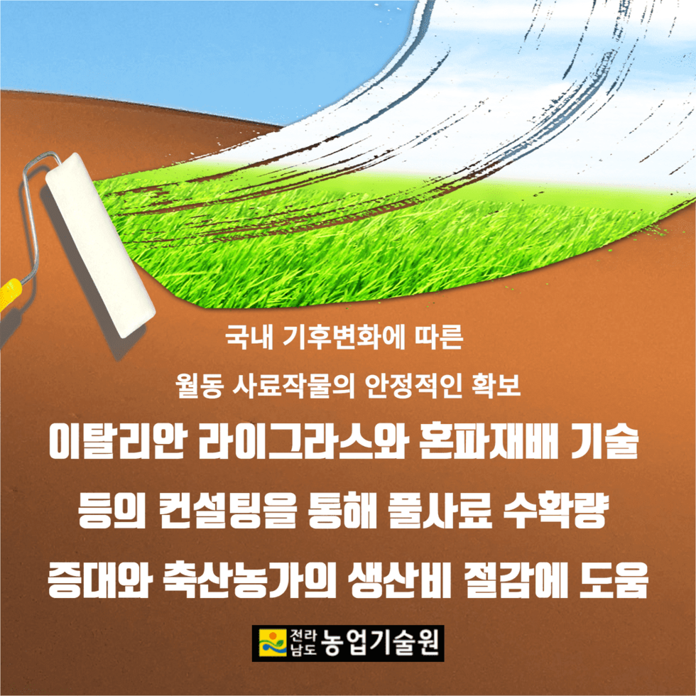 동계 사료작물  트리티케일  우량종자 분양 4.png