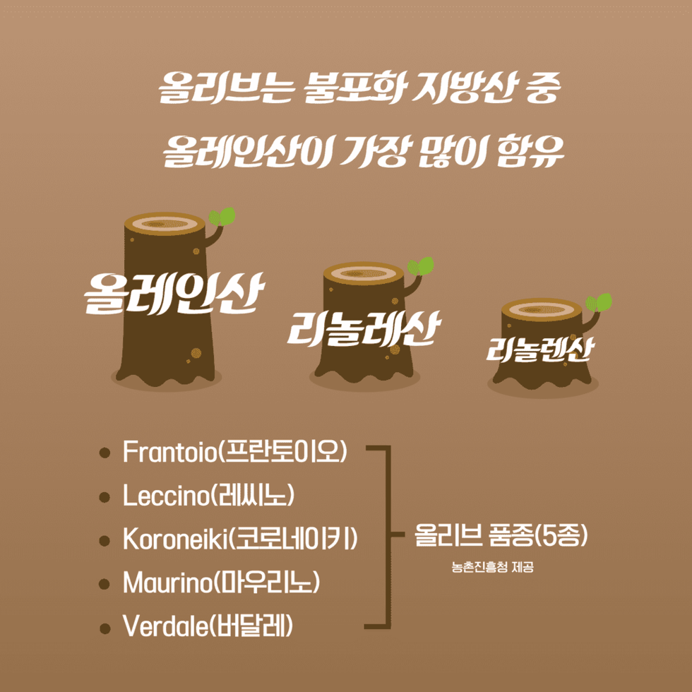 지중해 보물 올리브 수입대체 품목 4.png