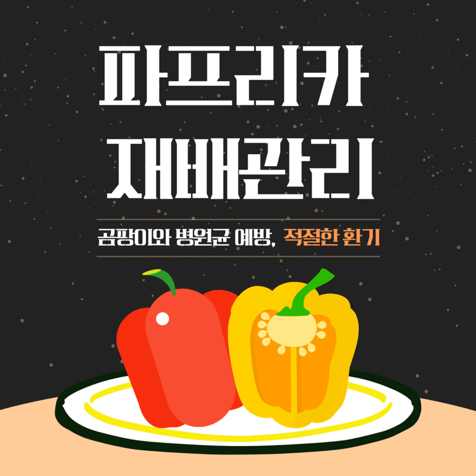 큰 일교차 파프리카 재배관리  1.png