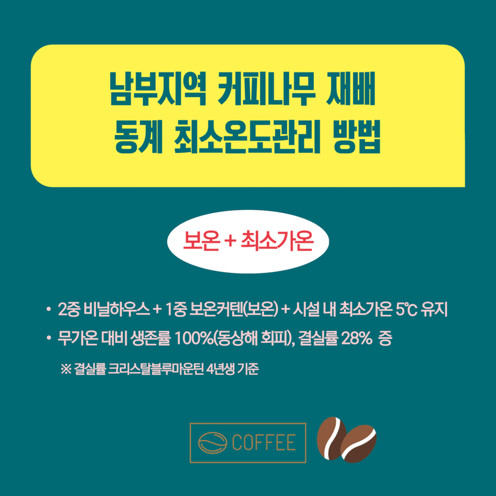 남부지역 커피나무 재배 동계 최소온도관리 방법  3.png