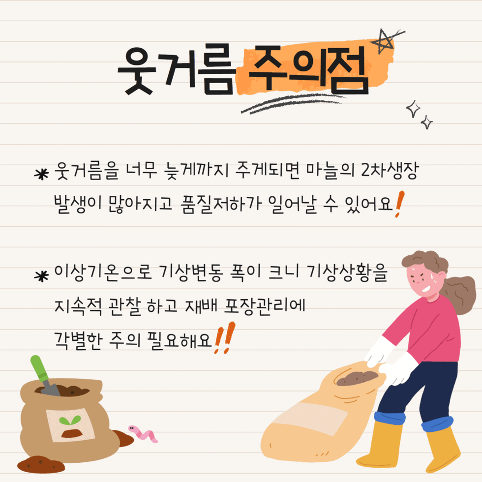 9. 생육재생기, 마늘.양파밭 관리 철저히 5.png