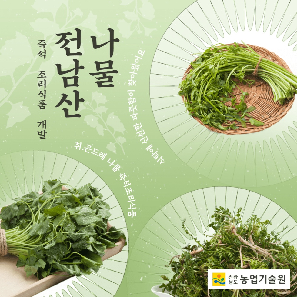22. 전남산 나물, 즉석조리식품 개발 본격화 1.png