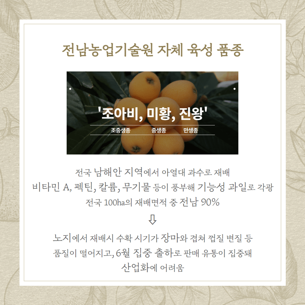 40. 비파 고품질, 고소득 모델 개발 2.png