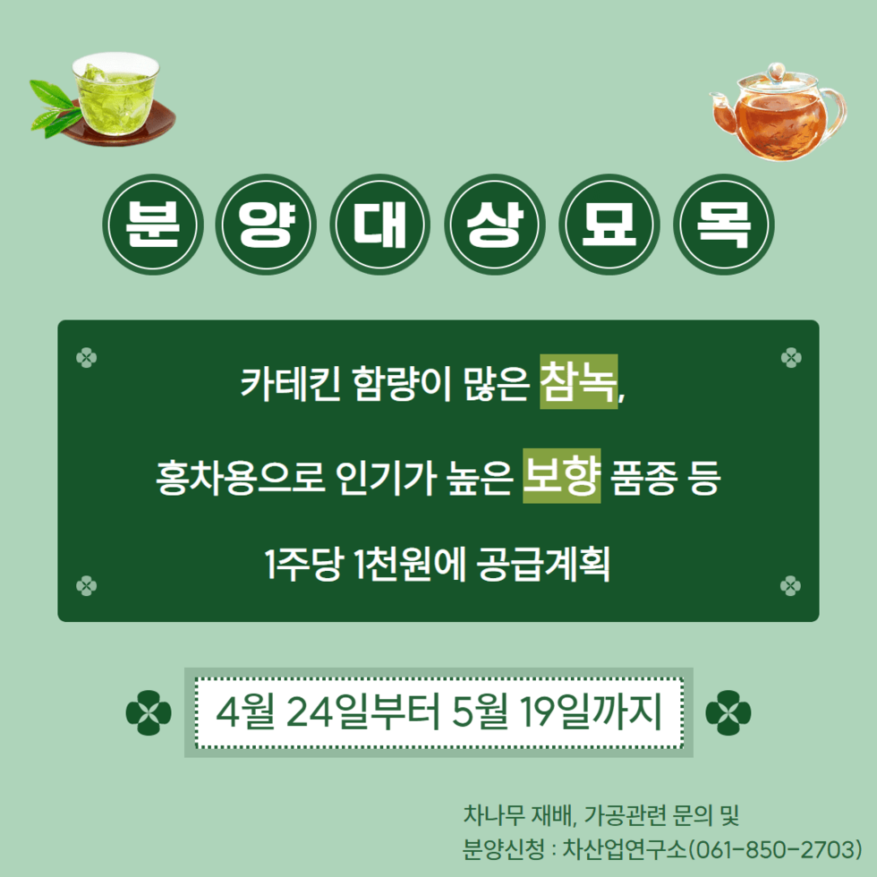 41. 기능성 차나무 우량묘목 4만주 분양 2.png