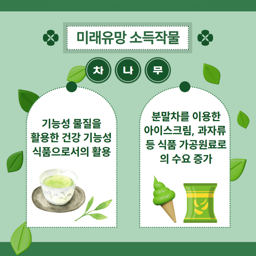 41. 기능성 차나무 우량묘목 4만주 분양 4.png