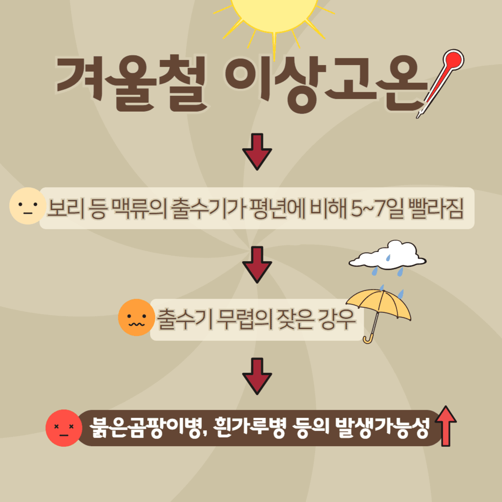 43. 봄철 맥류 병해충 선제적 방제 당부 2.png