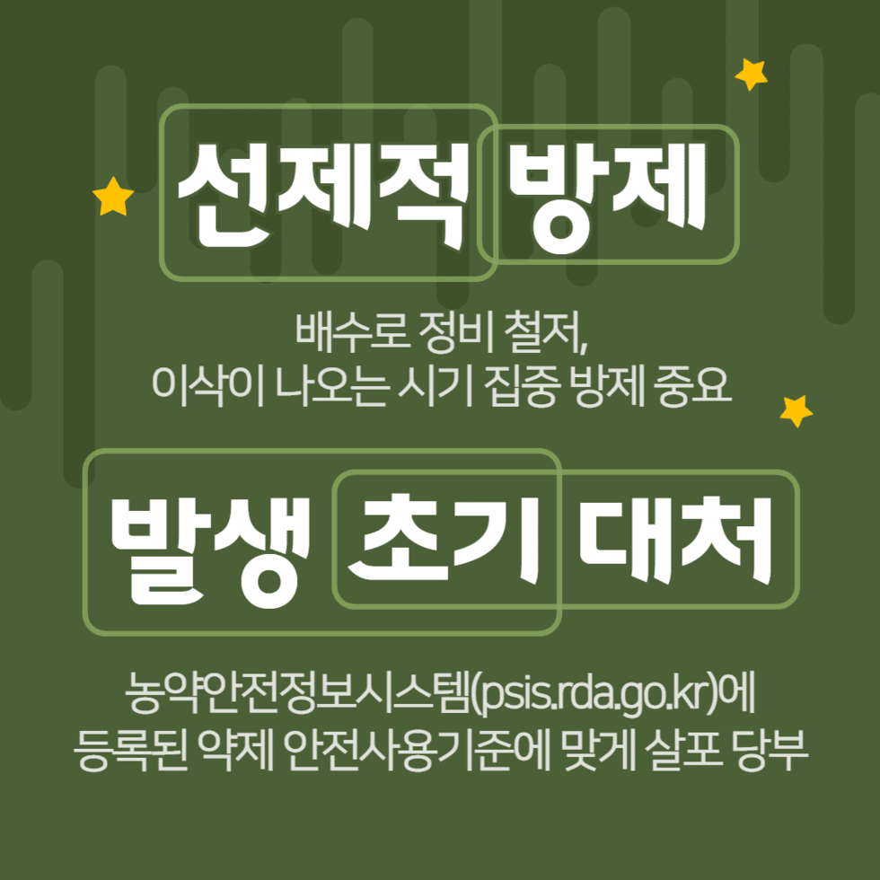 43. 봄철 맥류 병해충 선제적 방제 당부 5.png