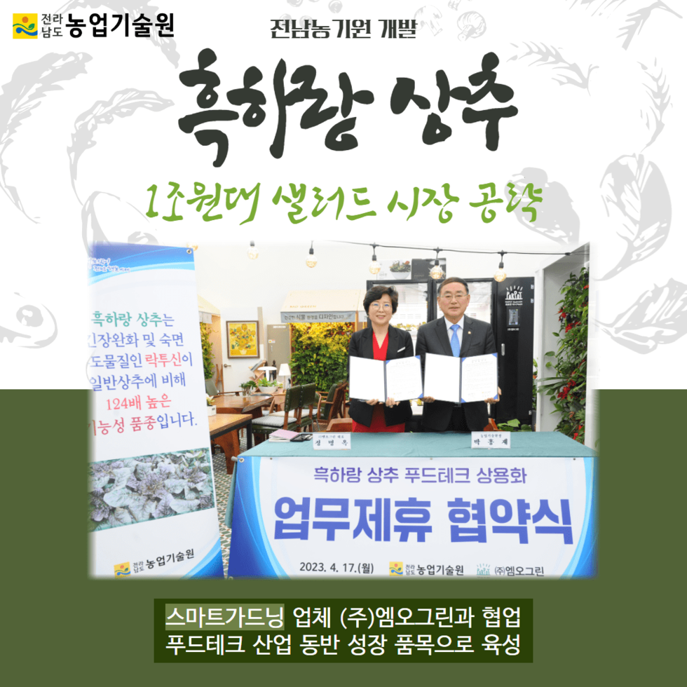 44. 흑하랑 상추 1조원대 샐러드 시장 공략 1.png