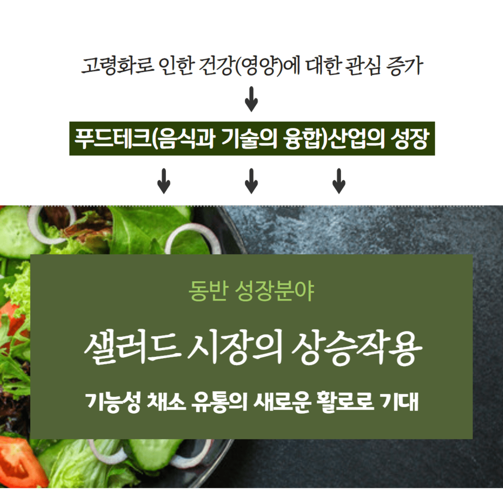 44. 흑하랑 상추 1조원대 샐러드 시장 공략 4.png