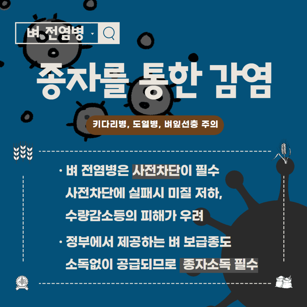 45. 벼 종자전염병 예방 볍씨소독 당부 2.png