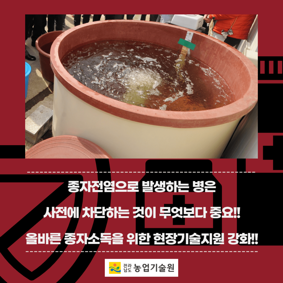 45. 벼 종자전염병 예방 볍씨소독 당부 5.png